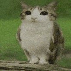 Duality is a Wonderful Thing.  |WOWZERS!|