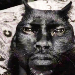 Wendel Vinicius ✝️