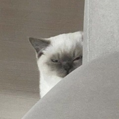 ena