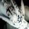cxrsdmyslf