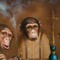 Monke