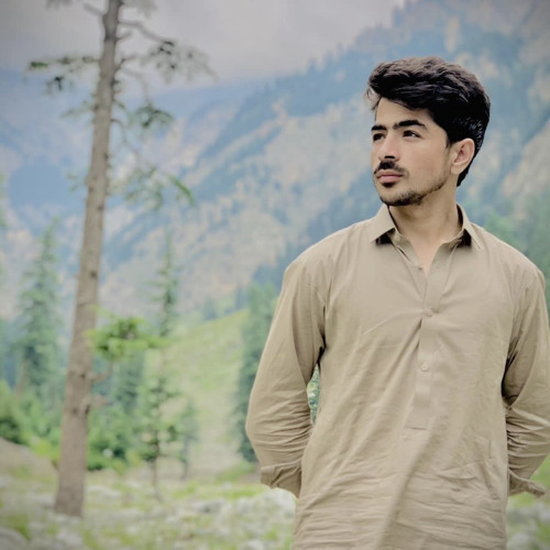 Zama_Khkulay_Janana_Ze_Zaar_shama_la_Tana_|_Pashto_Afghani_Song_|_The_Grumpy_Penguin(256k).mp3