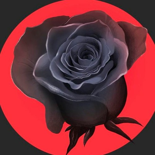 Ando Rose’s avatar