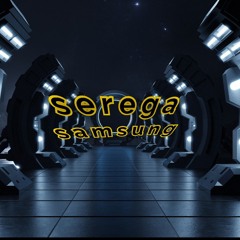 seregasamsung
