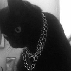 ･ﾟ⋆ ☁ 𝐿𝒾𝓏𝓏 ☁ ⋆ﾟ