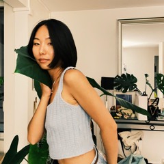 Fan Shi