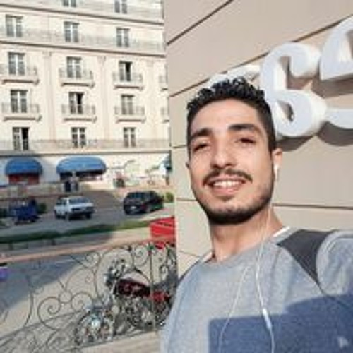 Mostafa Mahros’s avatar