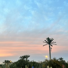 Amina Seif Eldin