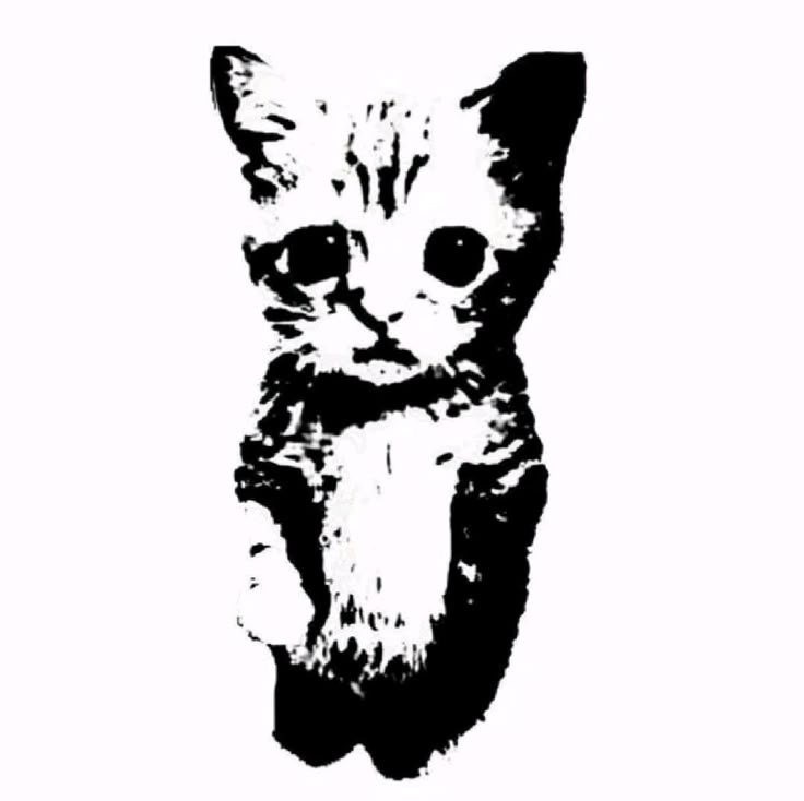 коррозия+*