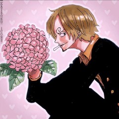 Vinsmoke Sanji