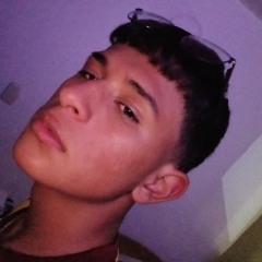 sneidzr