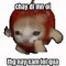 Đồng Hưng