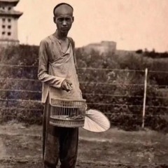 Tuan Hoc