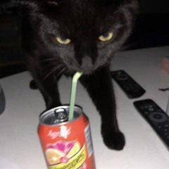 ksielosmakuwocóweleśnych