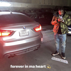 Free YSL 🐍