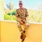 Ahmed Adel