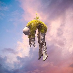 dreamidream