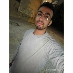 Mostafa Elkholy