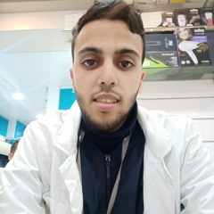 محمود بكر