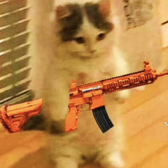 XXX PUBG