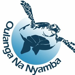 Oulanga na Nyamba