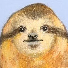 sloth