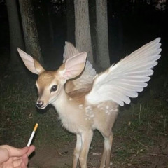 Сатоши