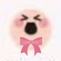 A silly person