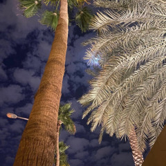 سامي الزهراني