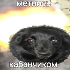 twdhrd