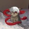 Dimon