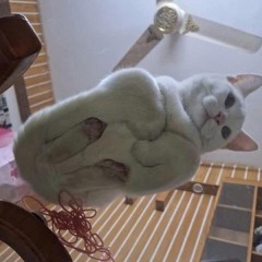 HưnG