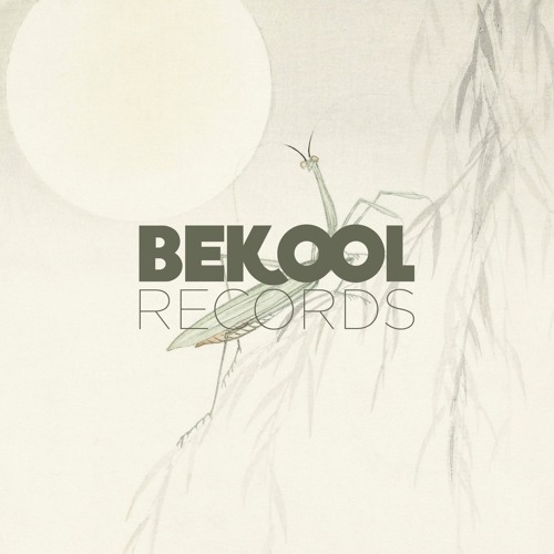 BEKOOL RECORDS’s avatar