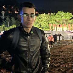 Diego Pontual