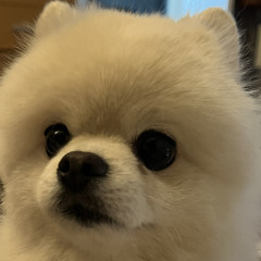 zyeon
