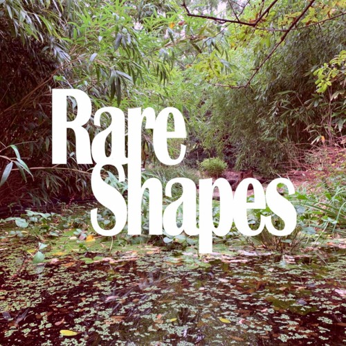 Rare Shapes’s avatar