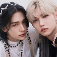 Stray kids lover