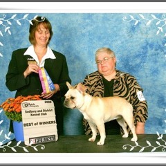 layton sto prod. layton sto