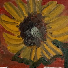 Sunny boy (charlie)