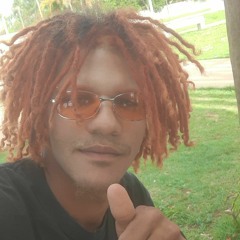 Raylan M Silva