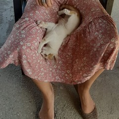 Noémie Ducimetière