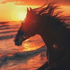 Music Lover ❤️🔥