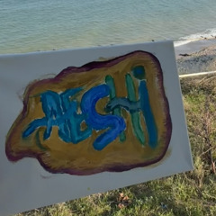 aeshi
