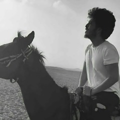 Mohamed Mostapha
