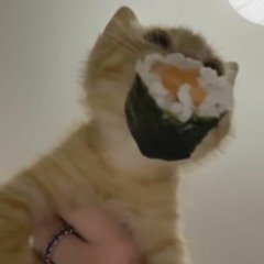 :3