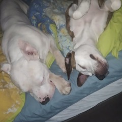 Luciaa
