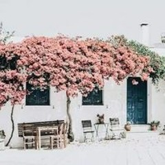 ساره سعفان