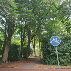 Jurgen van de Sanden