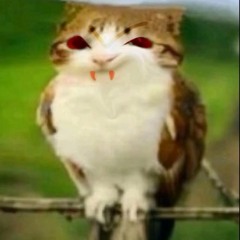 EVIL Meowl