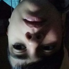 panchito2.0
